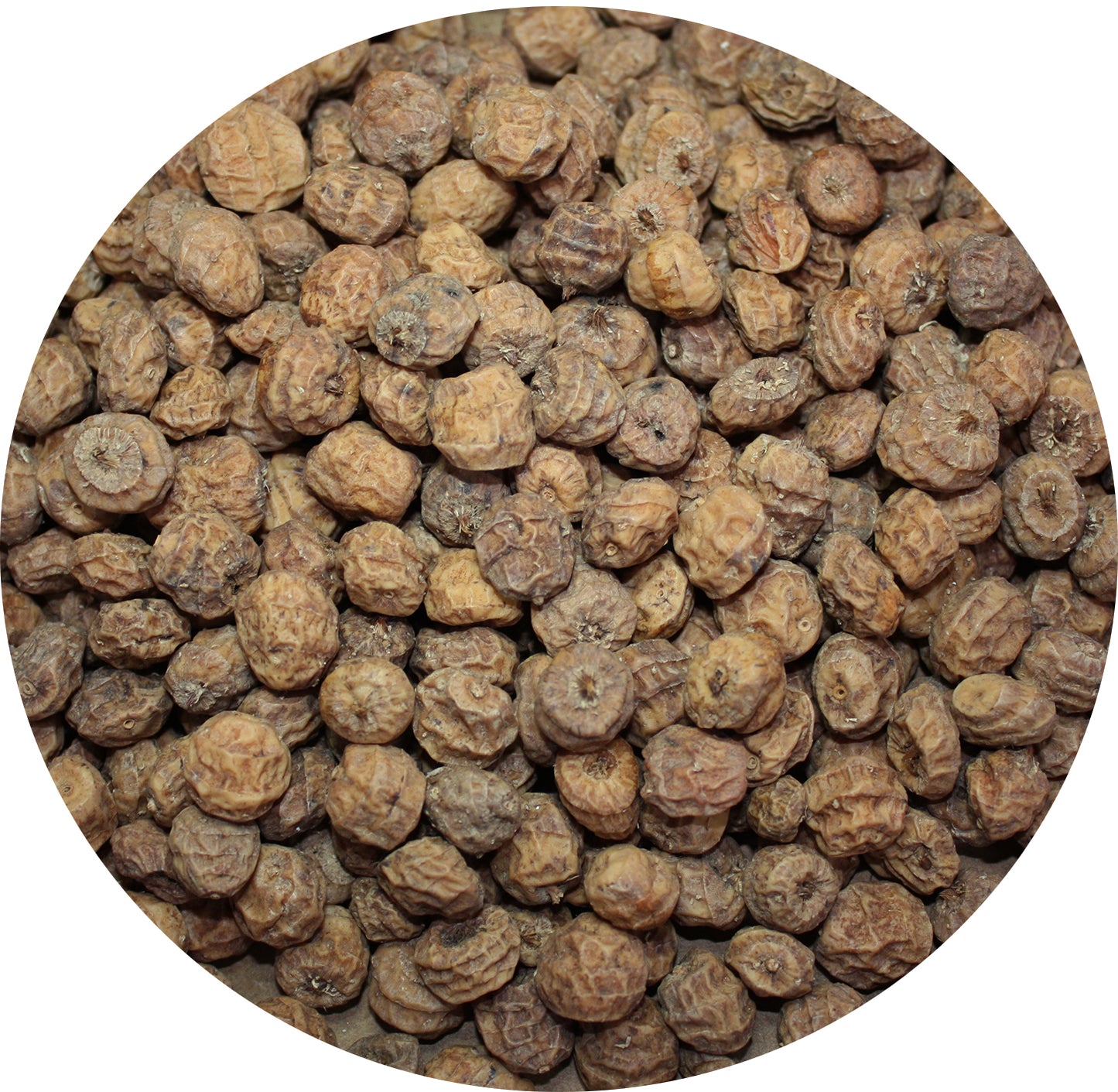 Tiger Nuts