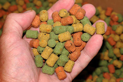 Robin Red® Premium Fishing Bait Ingredients