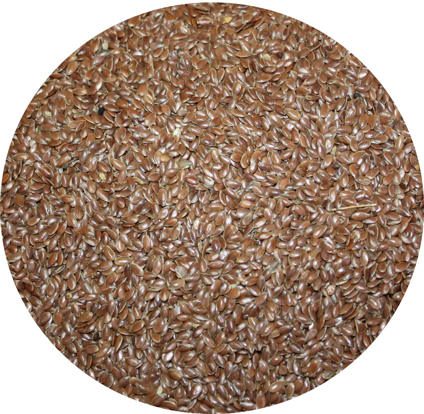 Linseed