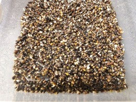 Crushed Hemp Seed