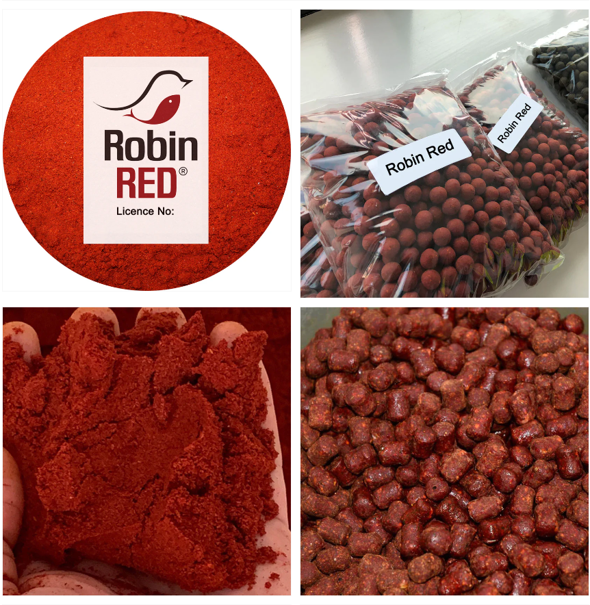 Buy Robin Red from Haith's to make great boilies and carp fishing baits in the UK and EU