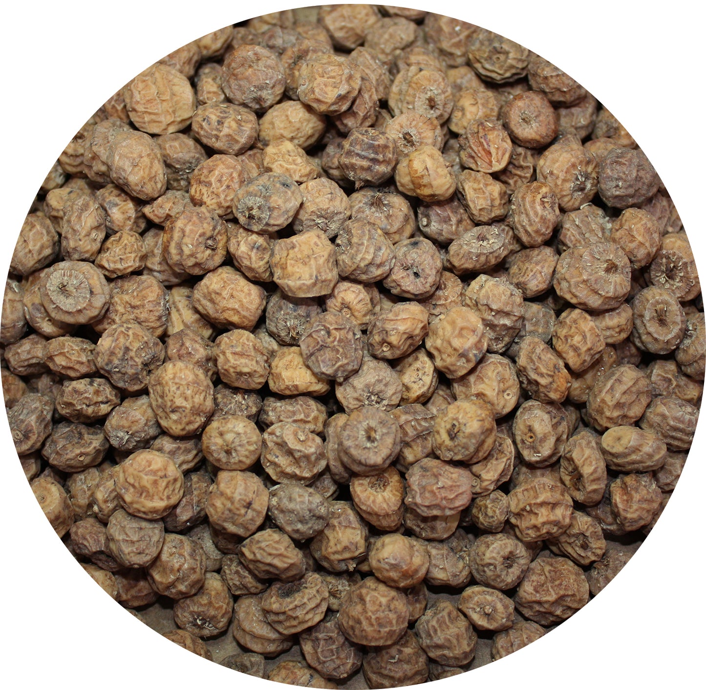 Tiger Nuts